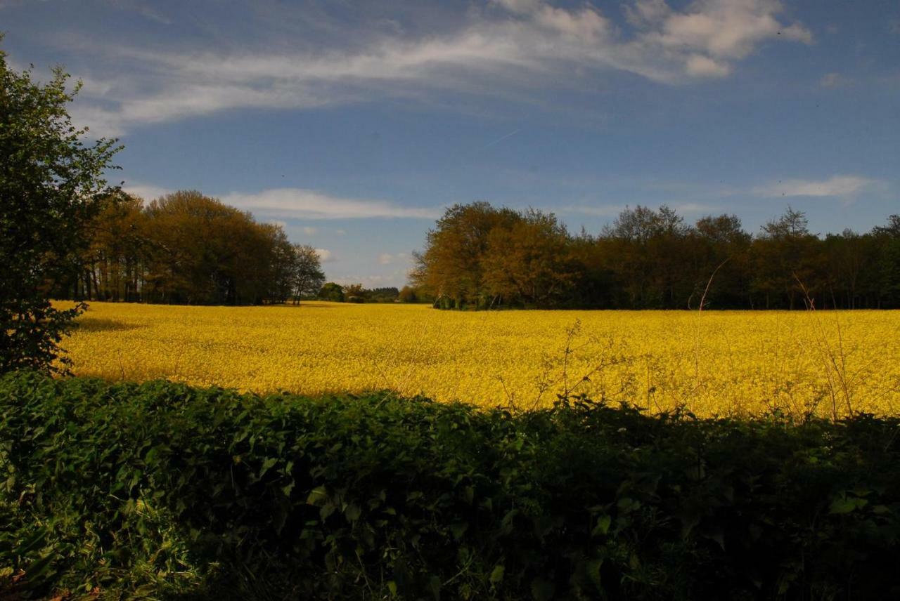 Sindles Farm Bed & Breakfast Emsworth Bagian luar foto